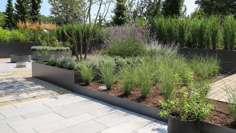 Angelegter Garten mit Pflasterweg und Gräsern